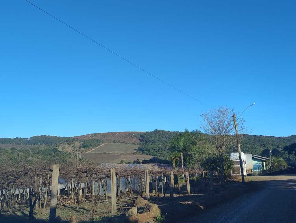Paisagem rural em São Marcos com parreirais sem folhas em primeiro plano, estrada de chão à direita e morros cobertos por vegetação ao fundo sob céu limpo e azul